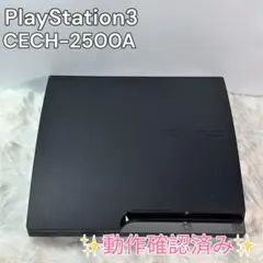 【動作確認済】PS3 CECH-2500A 本体 ブラック すぐ遊べる