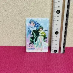 ぴちぴちピッチ 八景島シーパラダイス 特典 チェキ風カード 8種セット