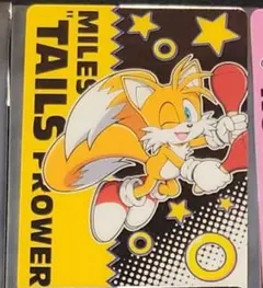 ソニック・ザ・ヘッジホッグ ラウンドワン フォトメタルカード