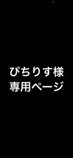 ぴちりす様専用ページ