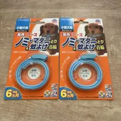 Item thumbnail for item 5eef28a0-6244-4f96-93a1-b1b022c7520b