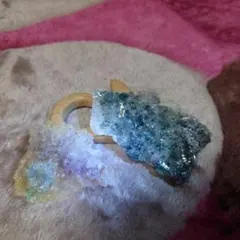 カルビ様 リクエスト 2点 まとめ商品