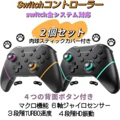 ２個セット２色 Switch スイッチ コントローラー マクロ機能