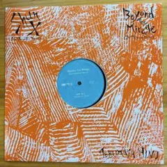 日野皓正Beyond The Mirage Cut Chemist Remix