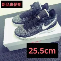 24.5cm ナイキ GS レブロン21 