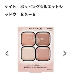 KATE ポッピングシルエットシャドウ EX-5