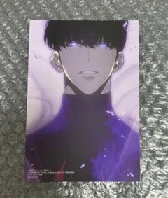 21 俺だけレベルアップな件 ポストカード ブロマイド ソロレベリング 21 俺だけレベルアップな件 ポストカード ブロマイド ソロレベリング