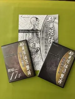 妙見法活法整体　腰痛攻略の17手セミナーDVD、臨床動画DVD、テキストつき