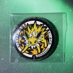 ポケモン　ポケふた　缶バッジ　指宿市　サンダース