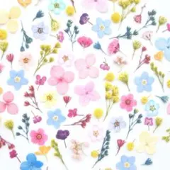 押し花素材 ♡ 小花mix （ 863 花材 レジン パーツ ネイル 小花 ）