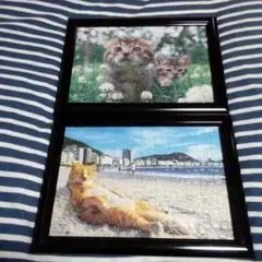 動物写真家/岩合光昭/猫ジグソーパズル/2種セット②/完成品額装/A4サイズのサムネイル