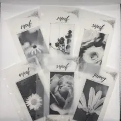 weekly saving リフィル シンプル 家計管理 韓国 バインダー 貯金