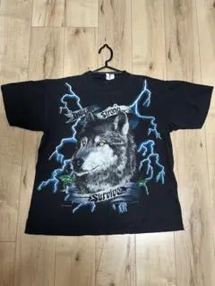 Item thumbnail for item 1e3ace8e-d805-4924-93bc-6d3ebb3a8773