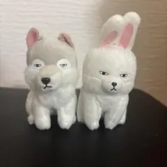きょむきょむ倶楽部 マスコット