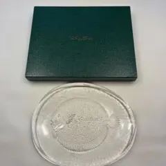 【未使用・元箱付】 コスタボダ マリーナ ヒラメ ガラス大皿　30cm