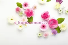 ❀ご購入前にコメントお願い致します❀ バラ 小苗 切り花品種 - メルカリ