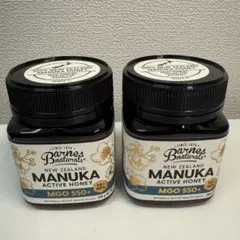 【新品_B品_2個セット】マヌカハチミツ_MGO550+250g_NZ産のサムネイル