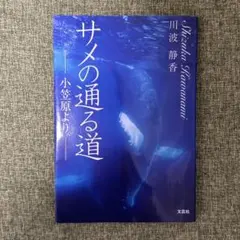 Item thumbnail for item 80a62a89-02e4-4da6-98aa-21d8ffd3bd84