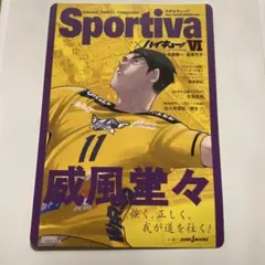 スポルティーバ　ハイキュー　ビジュアルボード　牛島若利