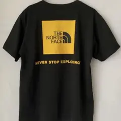 THE NORTH FACE/ショートスリーブバックスクエアーロゴT Mメンズのサムネイル