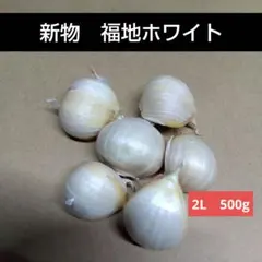 新物 青森県産にんにく 福地ホワイト 2L 500gのサムネイル