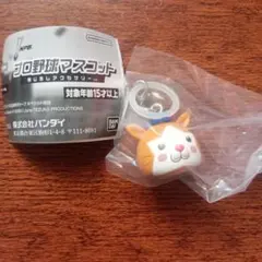 プロ野球マスコットめじるしアクセサリーDB.スターマン