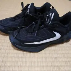 Item thumbnail for item 8645f663-c91e-4d81-8ef3-4b272208529e