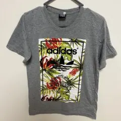 adidas グラフィック Tシャツ　M
