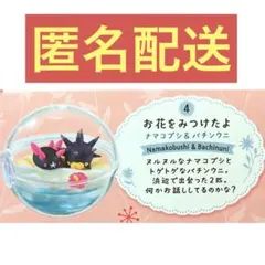 リーメント　ポケモン　テラリウムコレクション　ナマコブシ&バチンウニ
