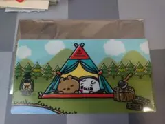 早い者勝ち‼️緊急入荷‼️無くなり次第終了‼️