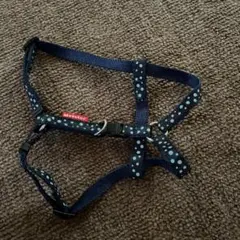 Item thumbnail for item 411ba2c7-a52f-477a-a653-cacbb6d860c7