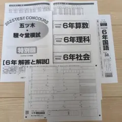 五ツ木・駸々堂模試テスト 2024年 第4回 小6 - メルカリ