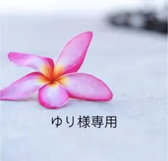 ゆり様専用★コラージュ素材★スクラップブッキングセット