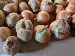 まんば様専用 玉ねぎ じゃがいも セット