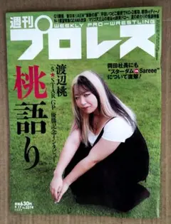 週刊プロレス No2374
