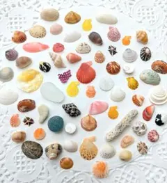 HAL様 リクエスト 2点 まとめ商品