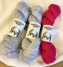 PerroquetParle毛糸セット☆国内ダイヤーさん手染め毛糸amirisu