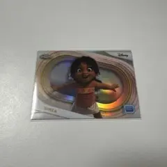 SIMEA REFRACTOR シメア　リフラクター