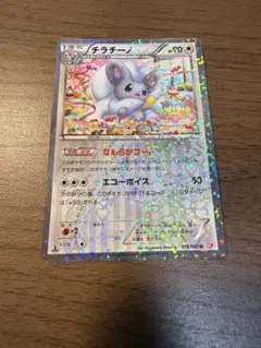 チラチーノ U SC 019/020 1ED