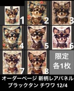 オーダーページ 新柄レアパネル ブラックタン チワワ 12/4