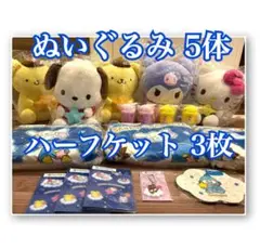 サンリオキャラクター大賞当りくじ2025 40周年 ぬいぐるみ セミコンプリート