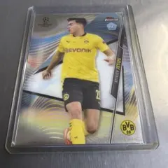 Item thumbnail for item 20efcaa3-7c76-414e-ab99-9c6bdbf5d594