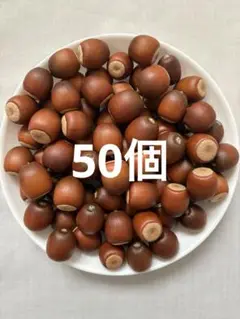くぬぎ あべまき どんぐり 大 50個　木の実