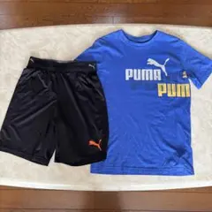 美品＊PUMA プーマTシャツとショートパンツセット 14-16 /160
