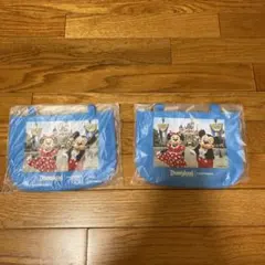 Disneyland ミッキー ミニー バッグ 2個セット