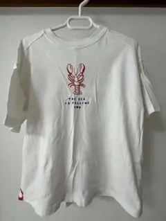 ザラキッズ　Tシャツ　ロブスター　128センチのサムネイル