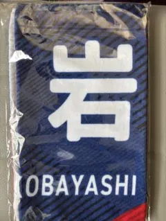 ヴァンフォーレ甲府 小林岩魚