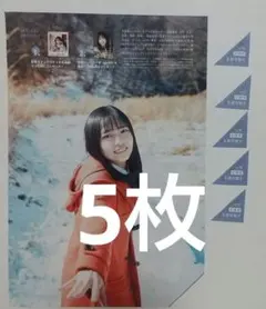 正源司陽子 サイン付きチェキ プレゼント応募券 週刊少年マガジン 16号