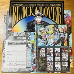 ジャンプGIGA 2025 SUMMERブラクロ 付録 センカラ 応募券