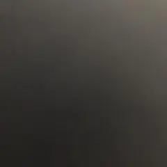 ひーさん。様専用